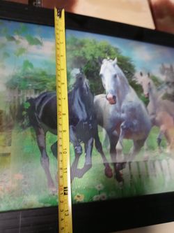 Horse painting 3D