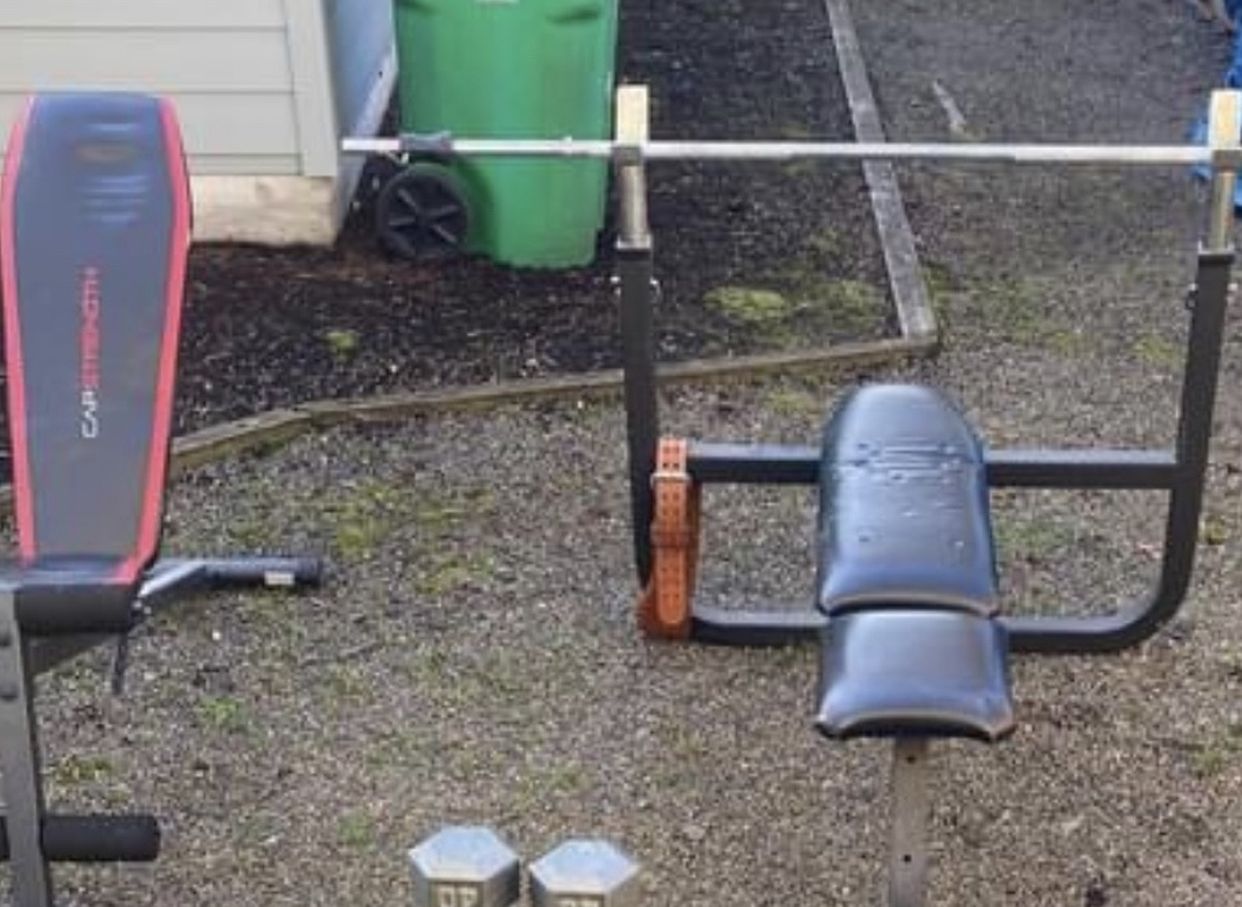 Bench press and Bar and Multi Purpose Bench