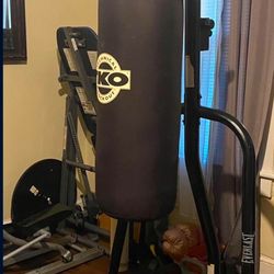 Punching Bag/Speed Bag Combo