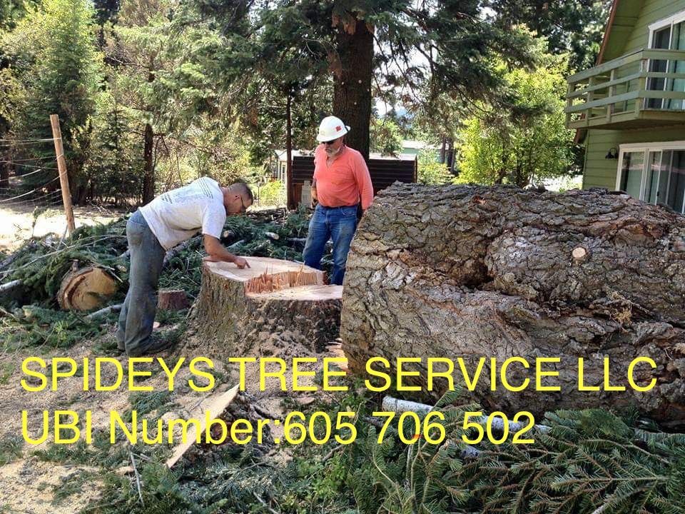 Barter Tree Cutting