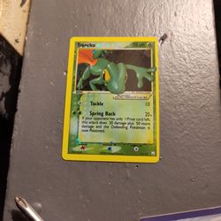 Pokemon Card Proxy