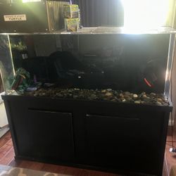 125 Gallon AIO Aquarium With Stand 