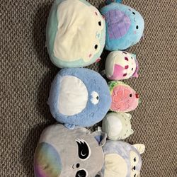 Squishmallow Lot