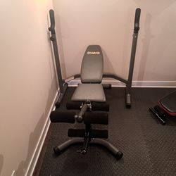 Body Champ 2 Piece Olympic Weight Bench for Sale in Chicago IL OfferUp