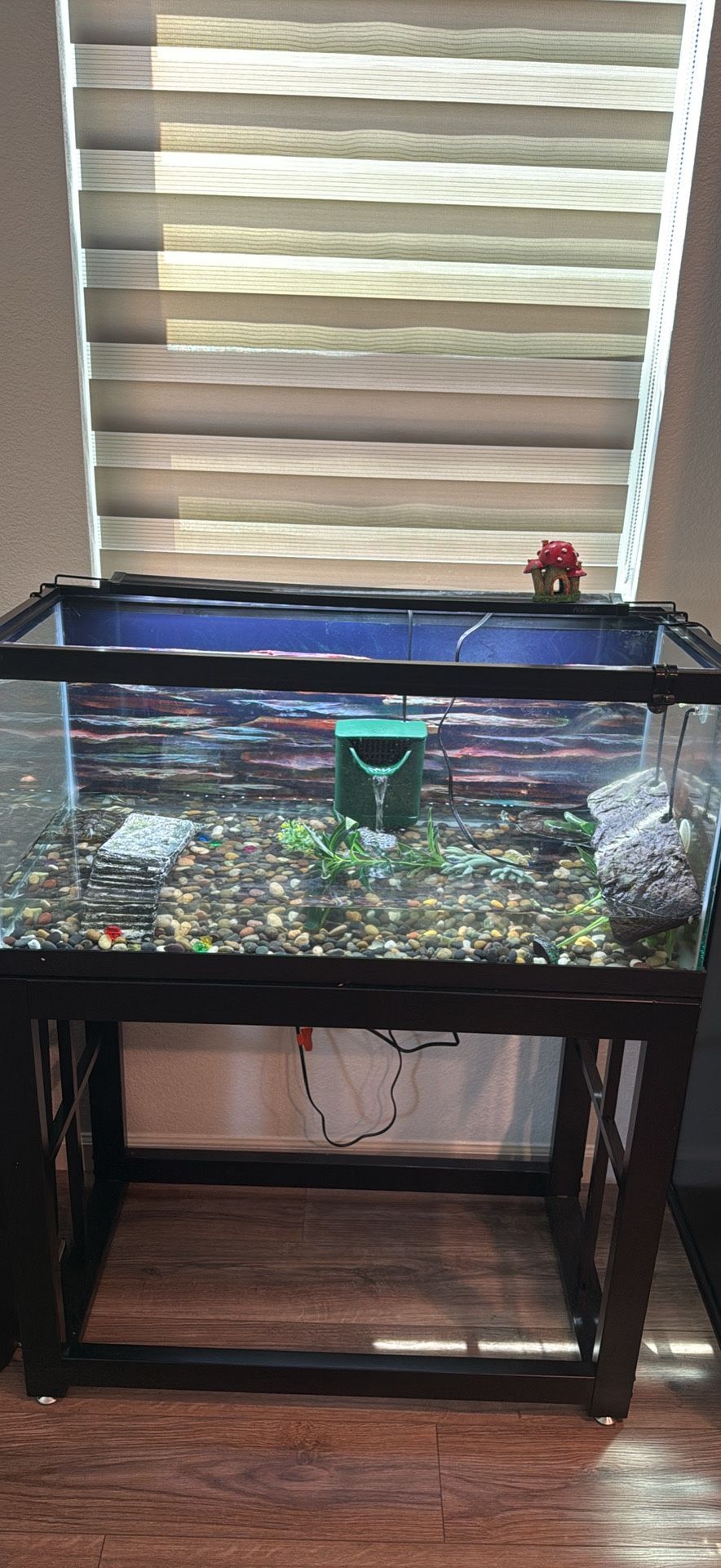 40 Gal Tank 