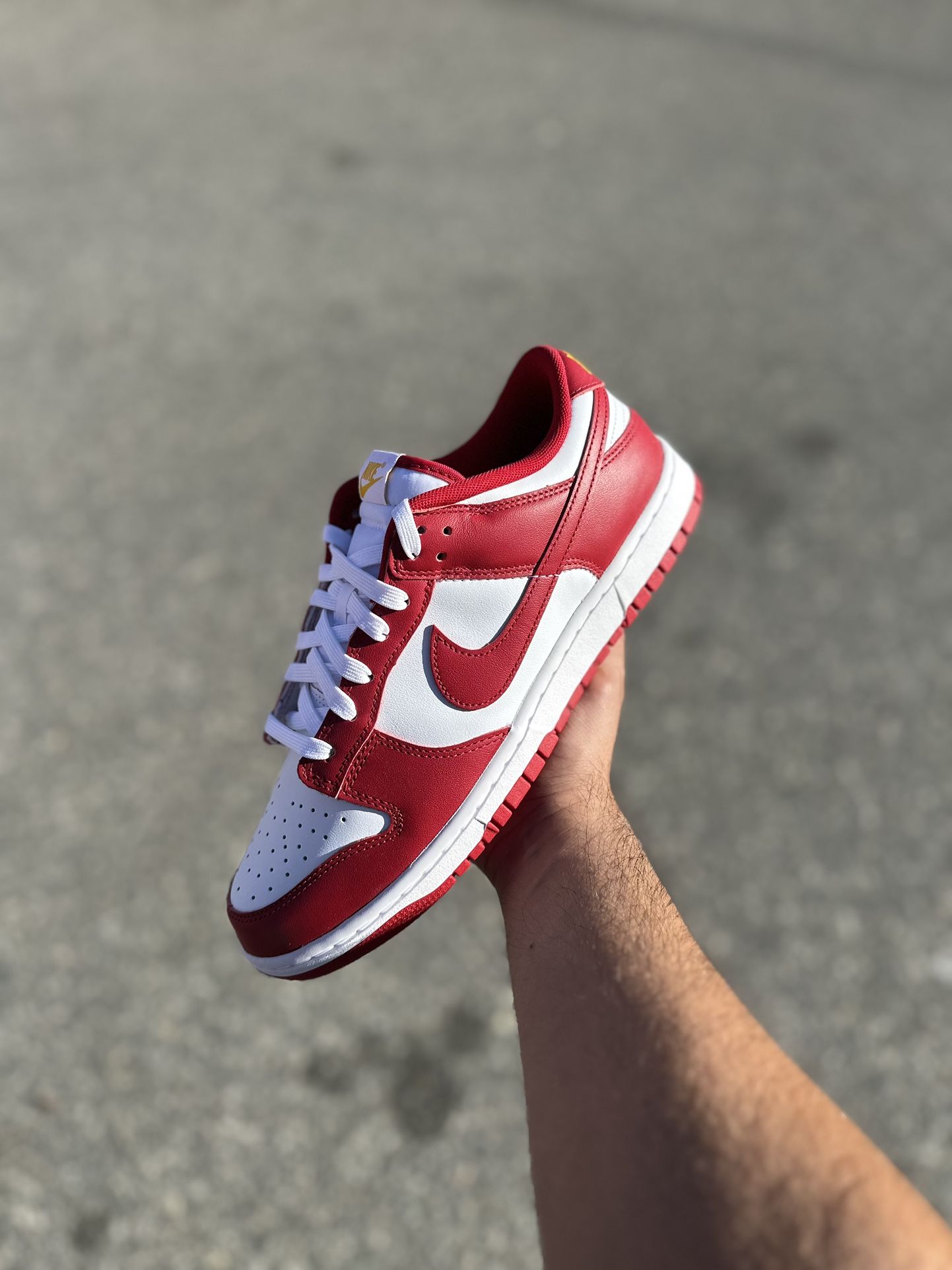 Nike Dunk Low USC