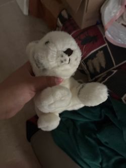 Tiger toy