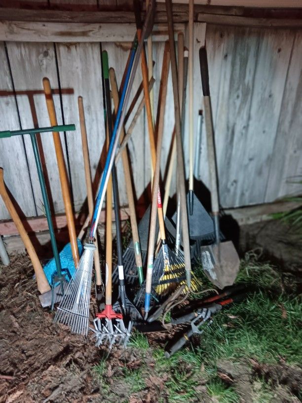 Whole Lot Of Garden Tools