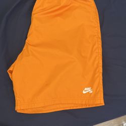 Nike SB shorts