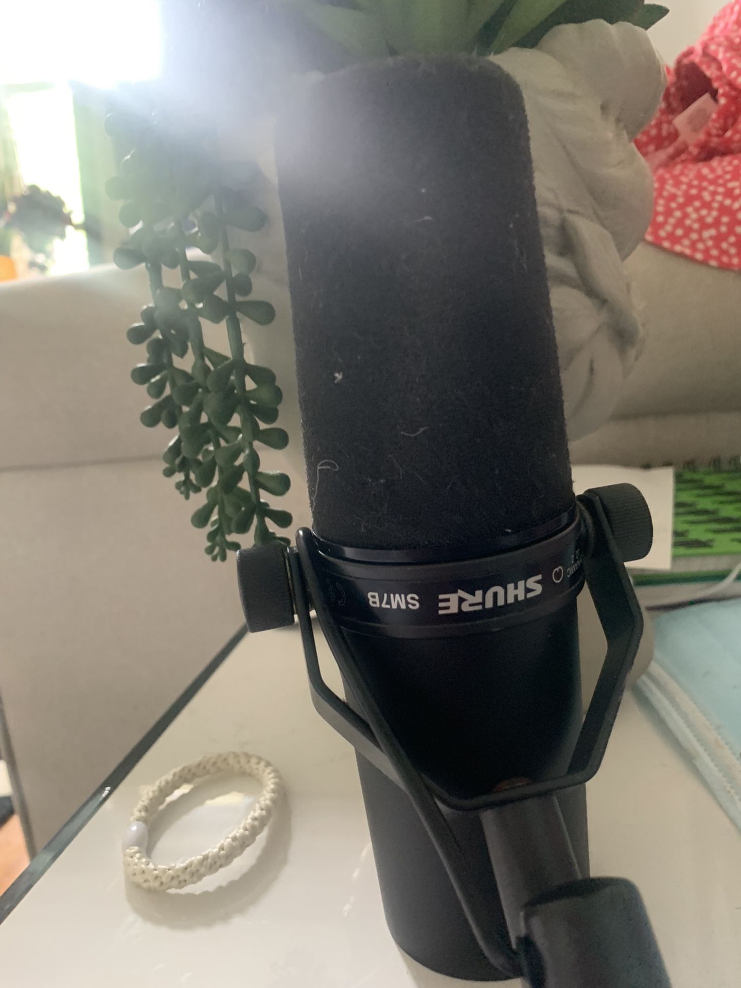 Shure Mic