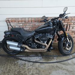 2019 Harley Fatbob 114