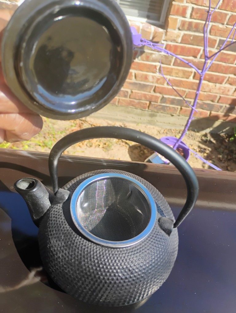 Small Japanese Cast iron Kettle