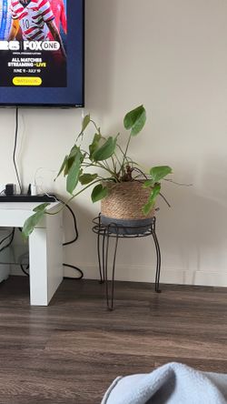 Plant with stand