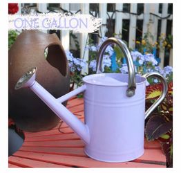 Brand new in box Metal Watering Can, One Gallon Watering Cans Stainless Steel for Outdoor Indoor Garden Plants Watering (Stainless Steel Handle Purple