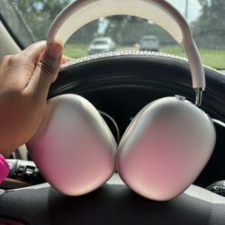 Apple Max’s