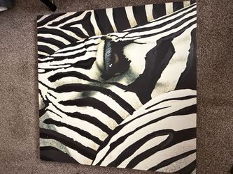 Large Zebra Close-Up Canvas Wall Art