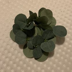 Eucalyptus Napkin Rings