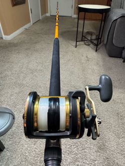 Daiwa Sealine Saltwater Fishing Combo