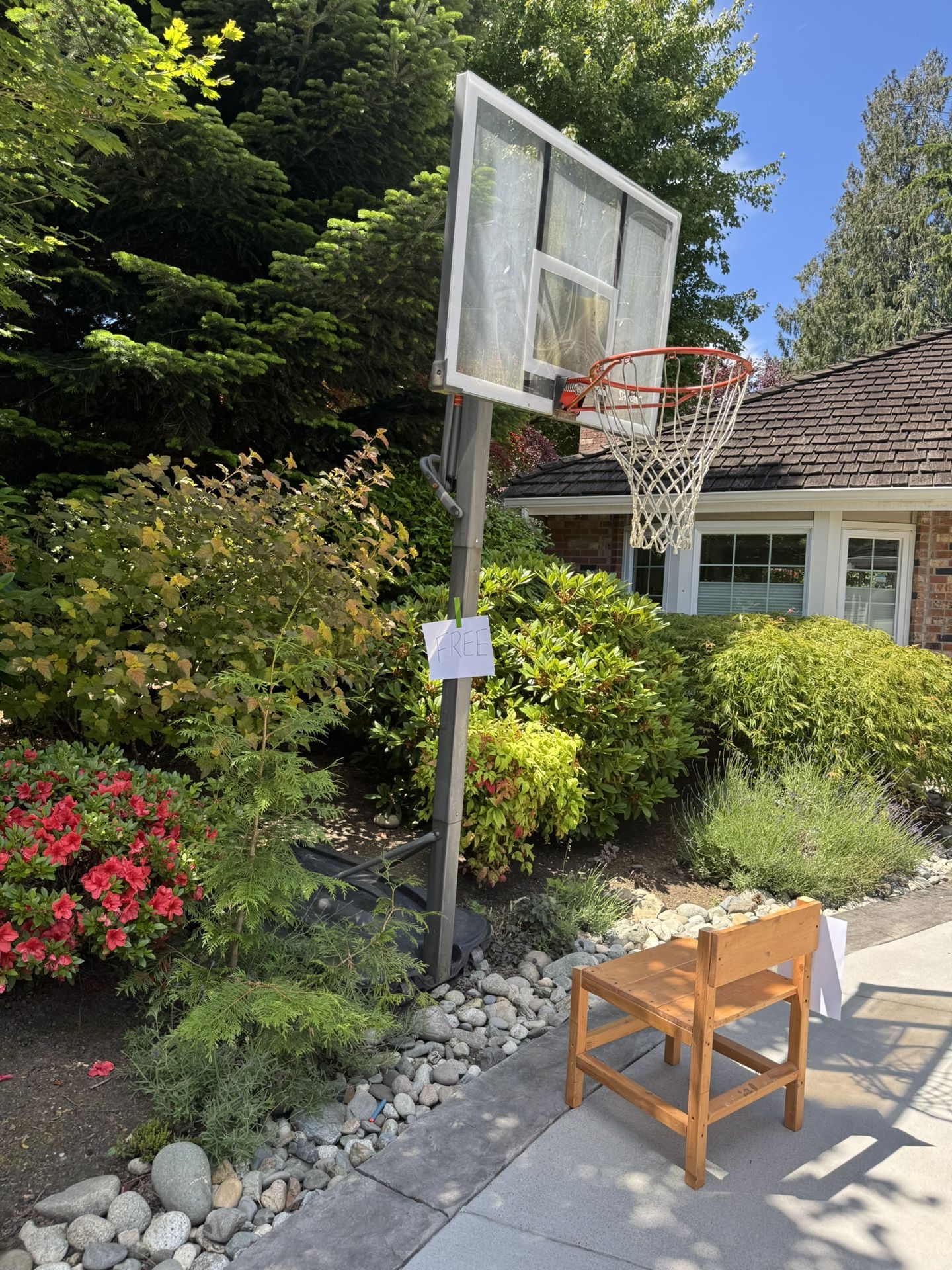 Free Basketball Hoop
