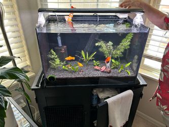 Aquarium