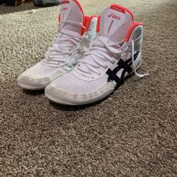 Wrestling Shoes
