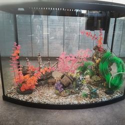 40 Gallon Fish Tank 