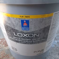 5 Gallons Masonry Coating Flat Beige Paint 
