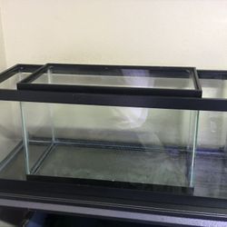 Aqueon 10 And 20 Gallon Aquariums 