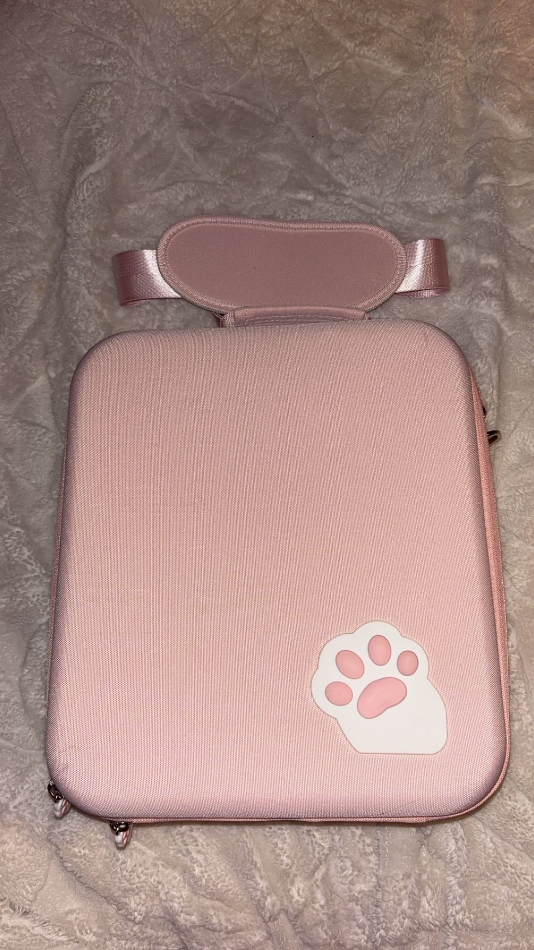 Nintendo Switch 1 & OLED Travel Carrying Case