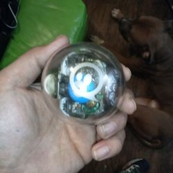 Sphero Bolt 
