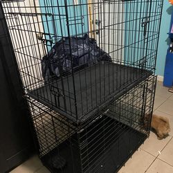 Jaulas grandes para perros grandes