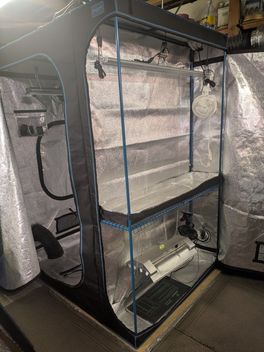Complete Indoor Grow Tent Kit w/ Lights, Fans, Nutrients & Accessories - All-In-One System!