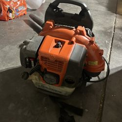 Echo leaf blower