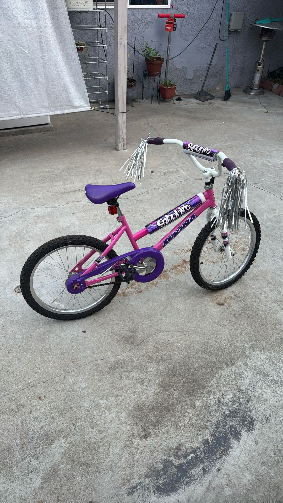 Girls 20 in Magna Bike