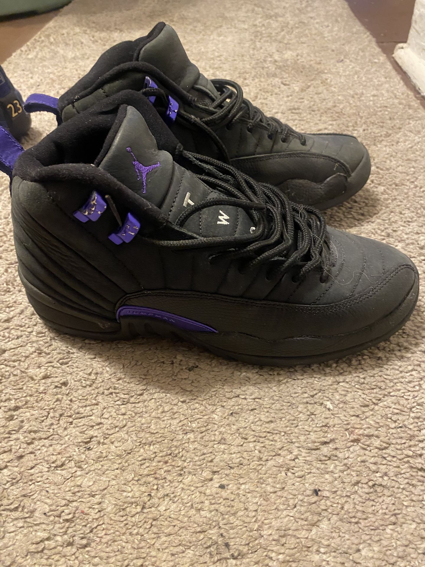 Jordans 12 Dark Concord