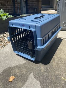 Travel Pet Carrier