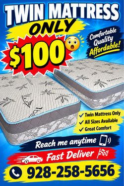 Twin Bamboo Mattress only $100