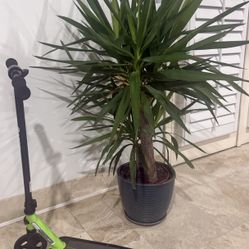 Razor E90 Electric Scooter