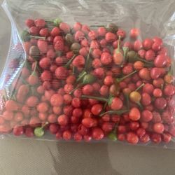 CHILTEPIN