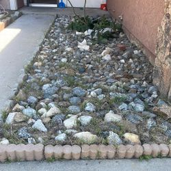 Free Rock