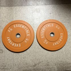 15lb Weight Plates