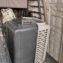 Dog Kennel