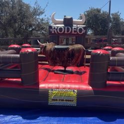 Toro Loco Bull