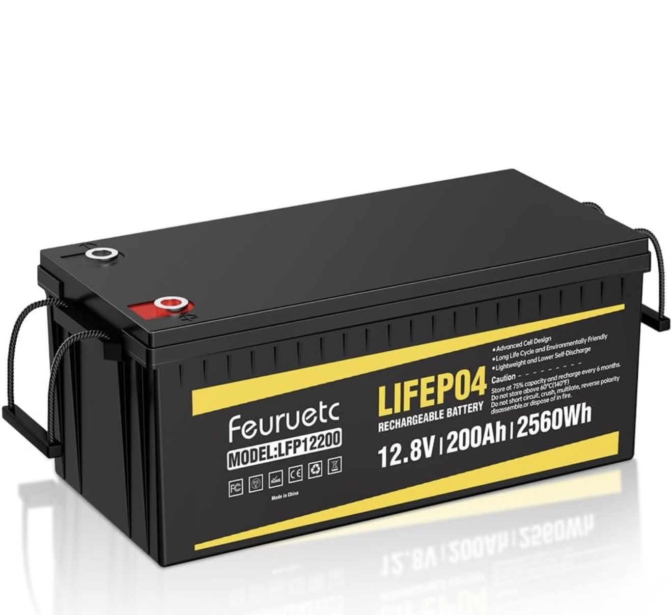 Feuruetc LIFEP04 Model: Lfp12200 RV Battery