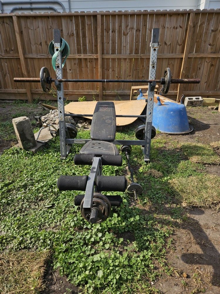 Weight Bench With Weights