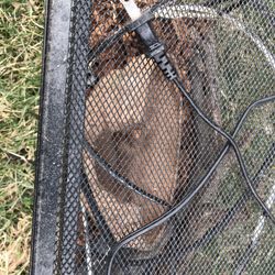 A Nice Animal Tank (20” Long X 11” Wide )