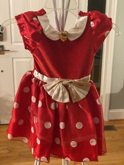 Disney Princess Costume