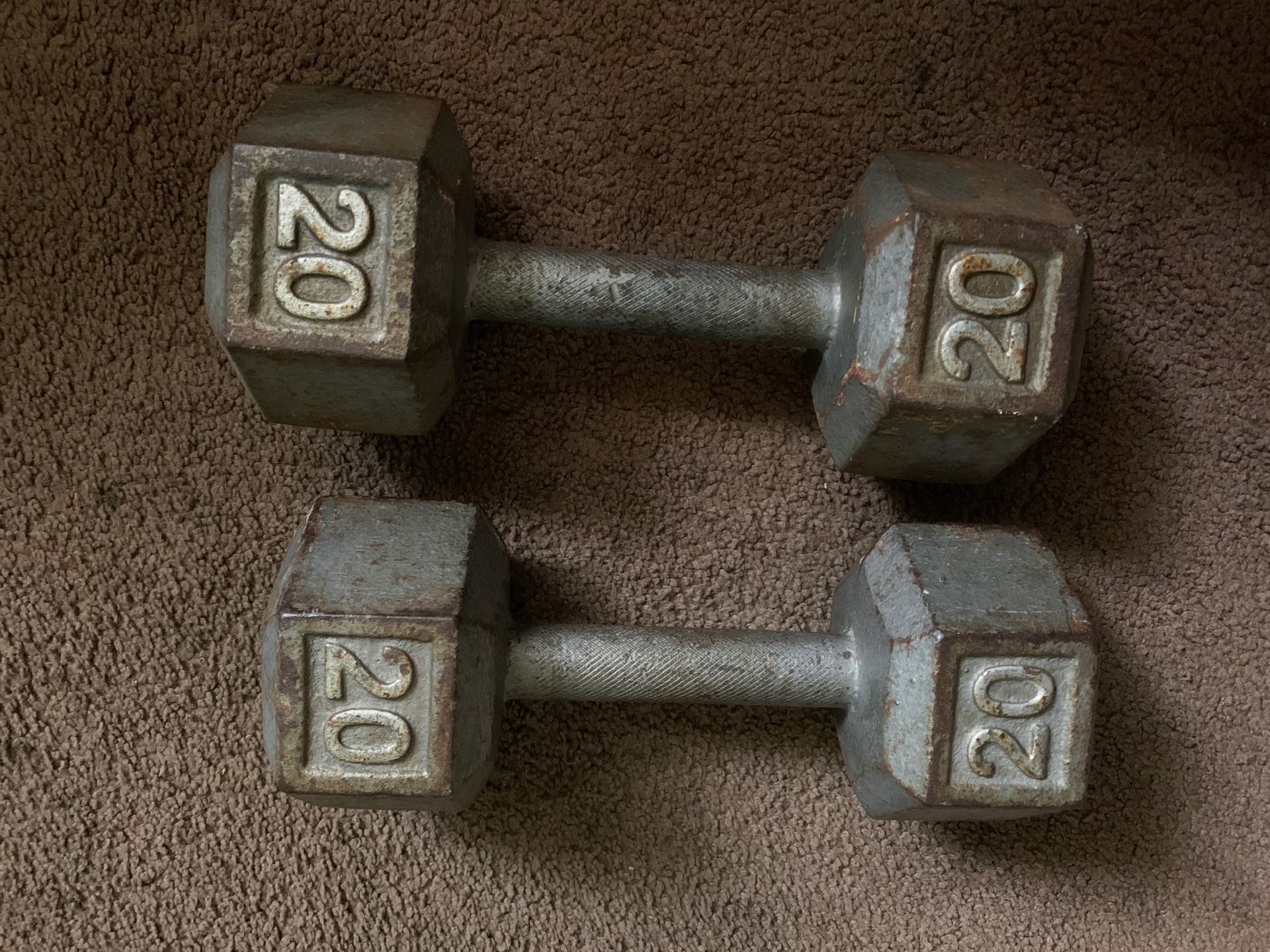 20 lb Dumbbells