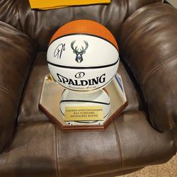 Giannis Antettokounmpo Basketball 