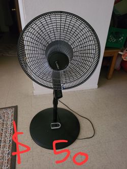 fan